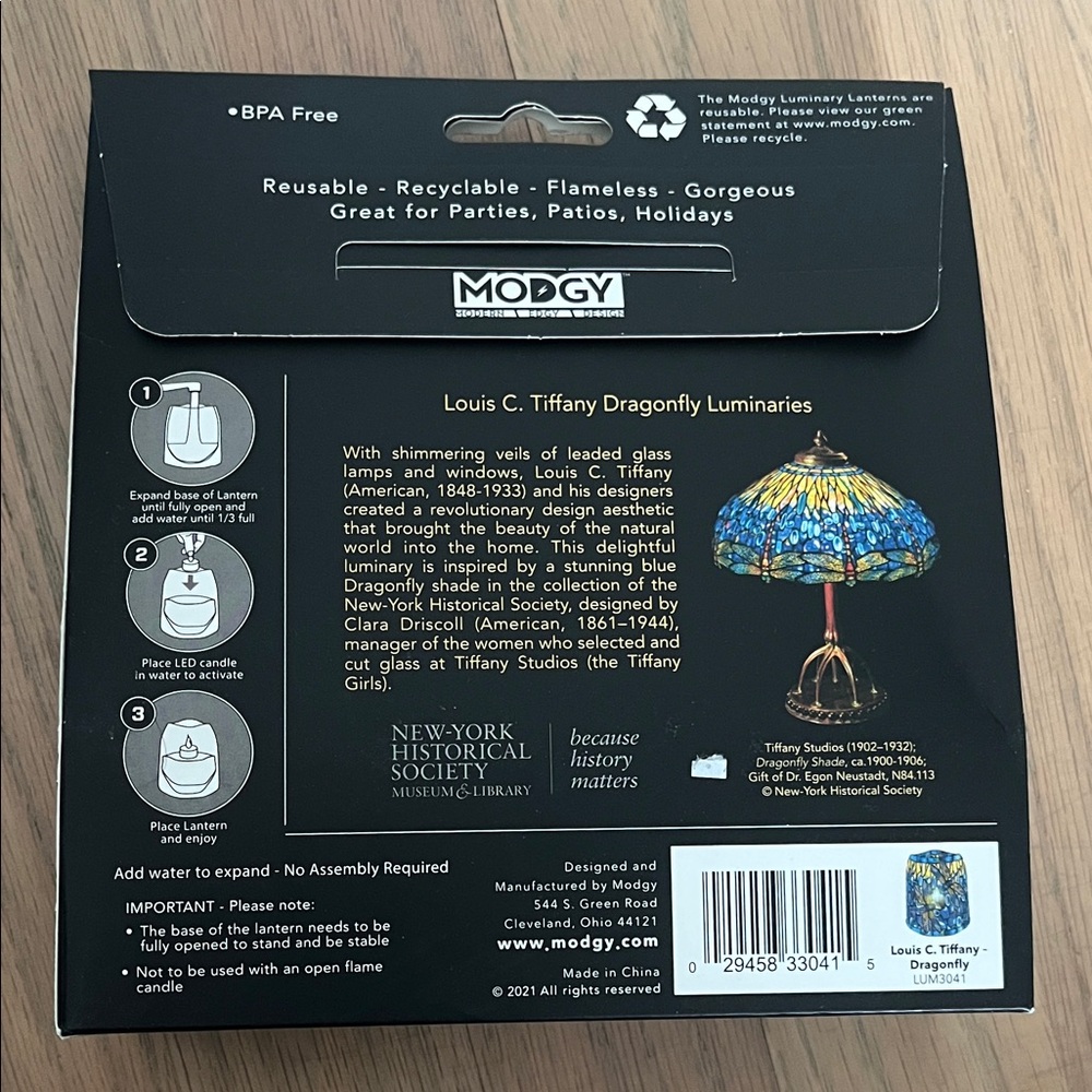 Modgy Dragonfly Luminary Lanterns - Picture 2 of 2